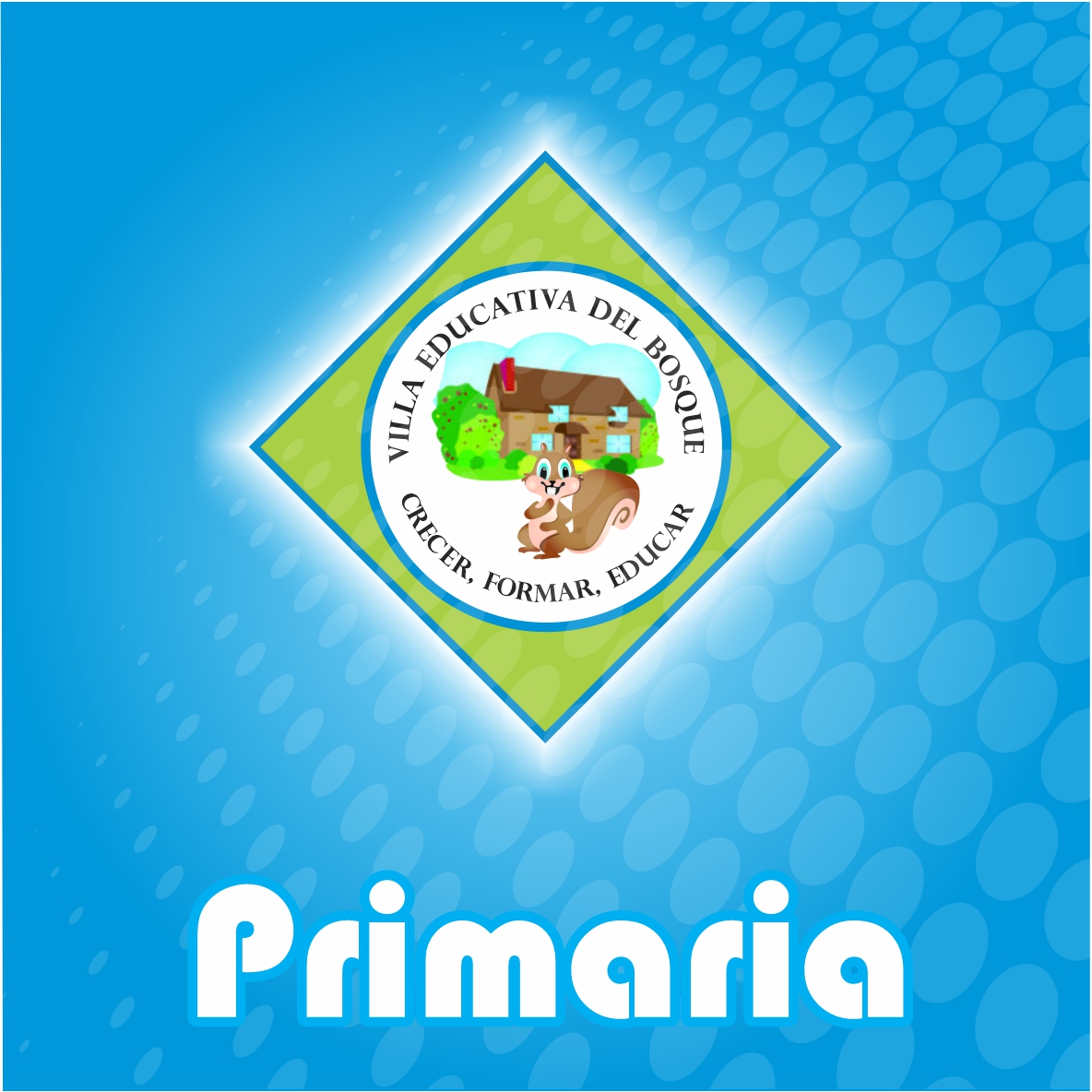 Villa Educativa del Bosque - Primaria